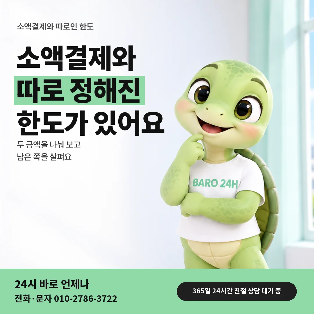 휴대폰을 보며 웃는 BARO 24H 티셔츠를 입은 3D 거북이 캐릭터 옆에 「소액결제와 따로인 한도」 제목을 얹은 안내 카드